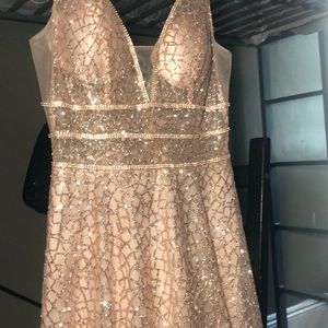 Rose Gold Cinderella DReSs